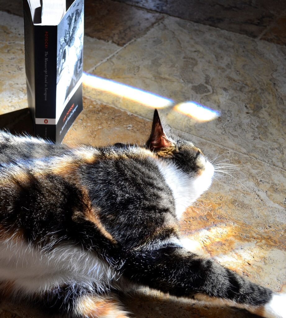 Jabberwocky sleeps in the sunshine beside the spine of The Manuscript Found in Saragossa.