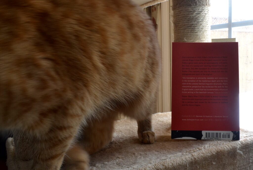 The back cover of The Notebooks of Malte Laurids Brigge and a blurry orange tabby.