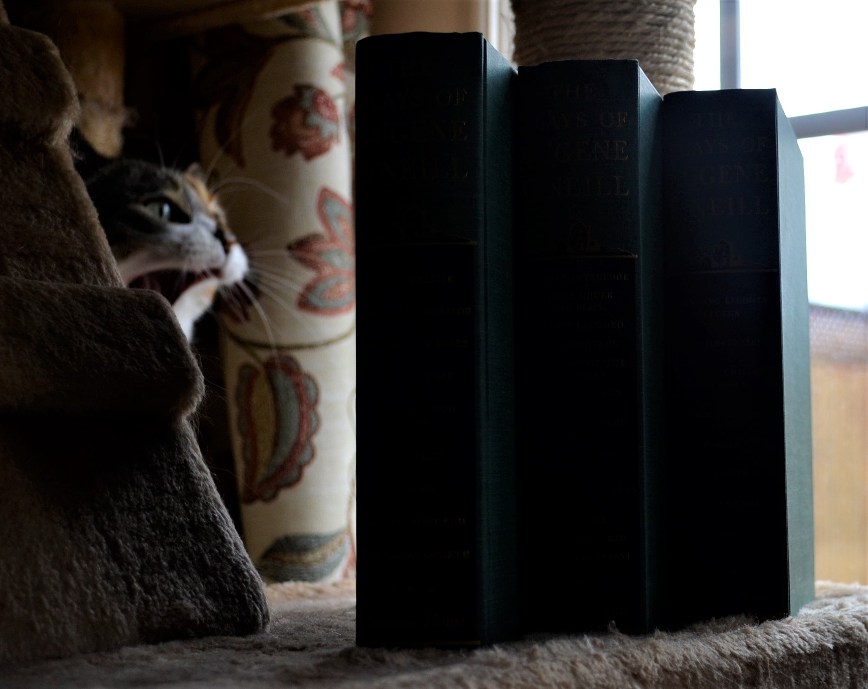 The green and black gilded spines of three volumes of The Plays of Eugene O'Neill. A calico cat roars in the background.