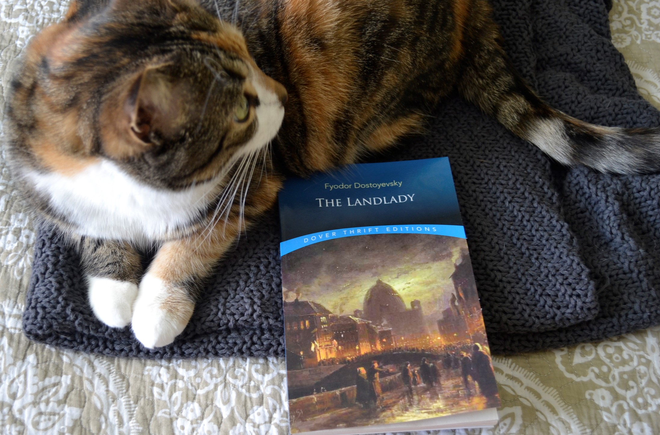 The cover of the Landlady beside a calico tabby cat.