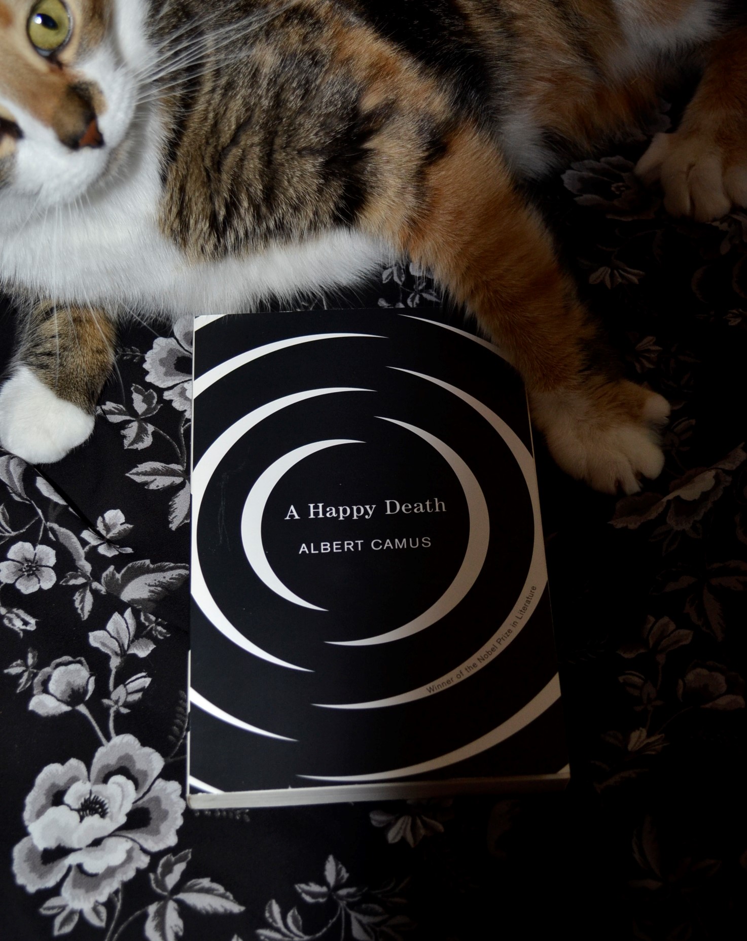 The black and white cover of A Happy Death on a black and white floral background beside a calico tabby.