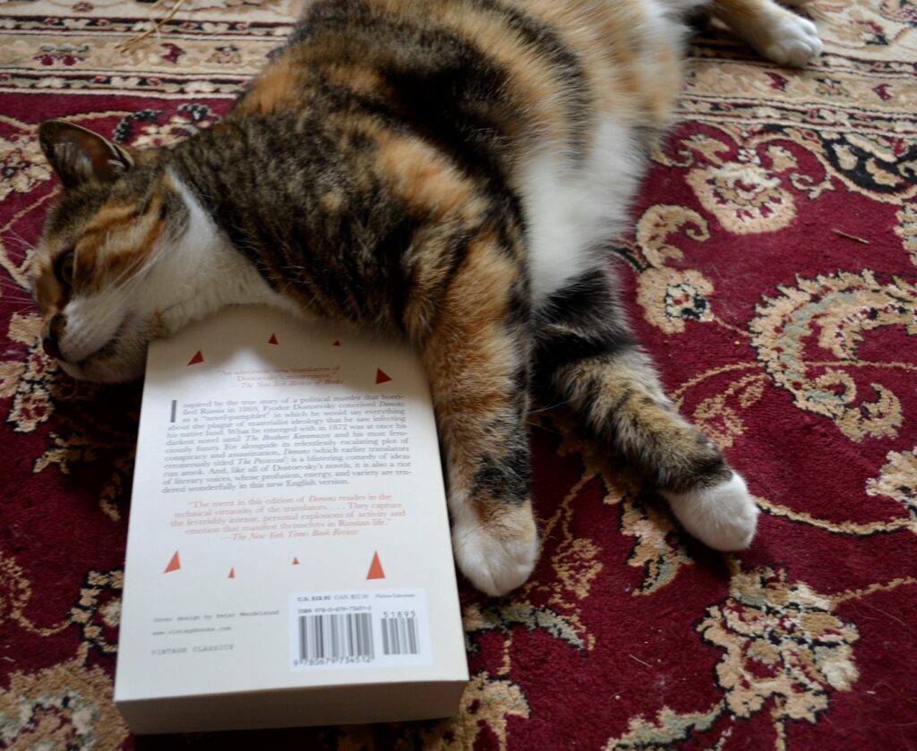 A calico cat rests its chin and paws around the cover of Demons.