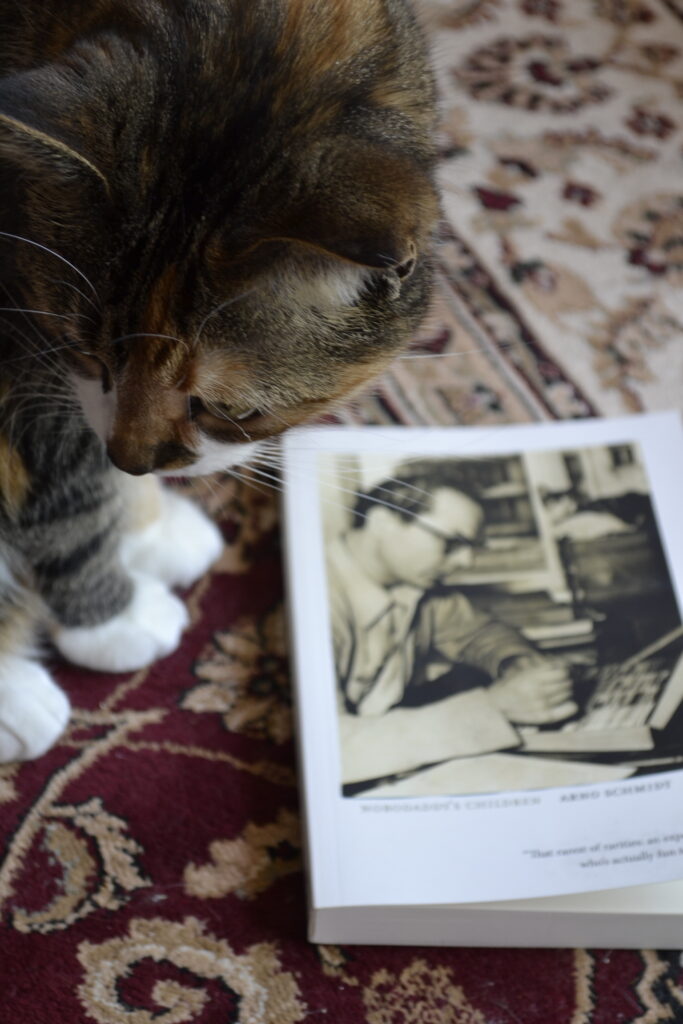 A tabby cat looks at the cover of Nobodaddy's Children.