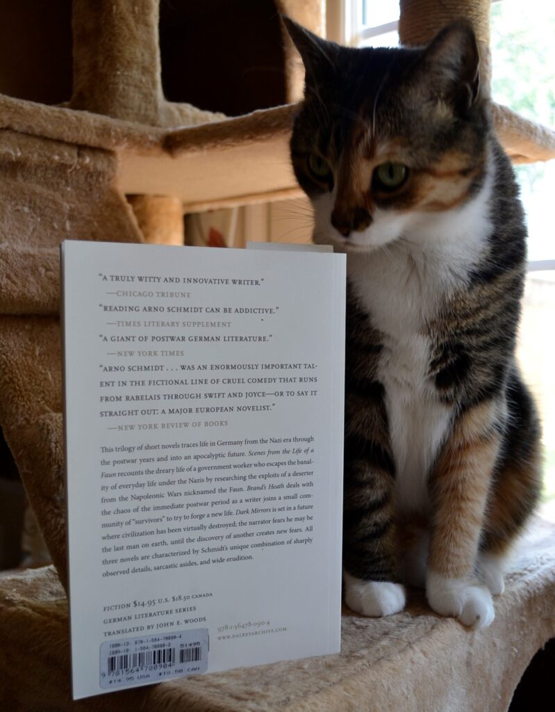 A tabby cat sniffs the back cover of Nobodaddy's Children.