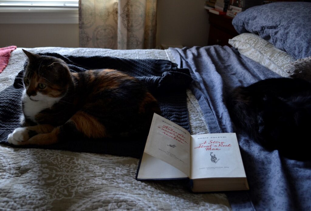 A calico cat and a black cat sleep on either side of Polevoy's A Story of a Real Man.