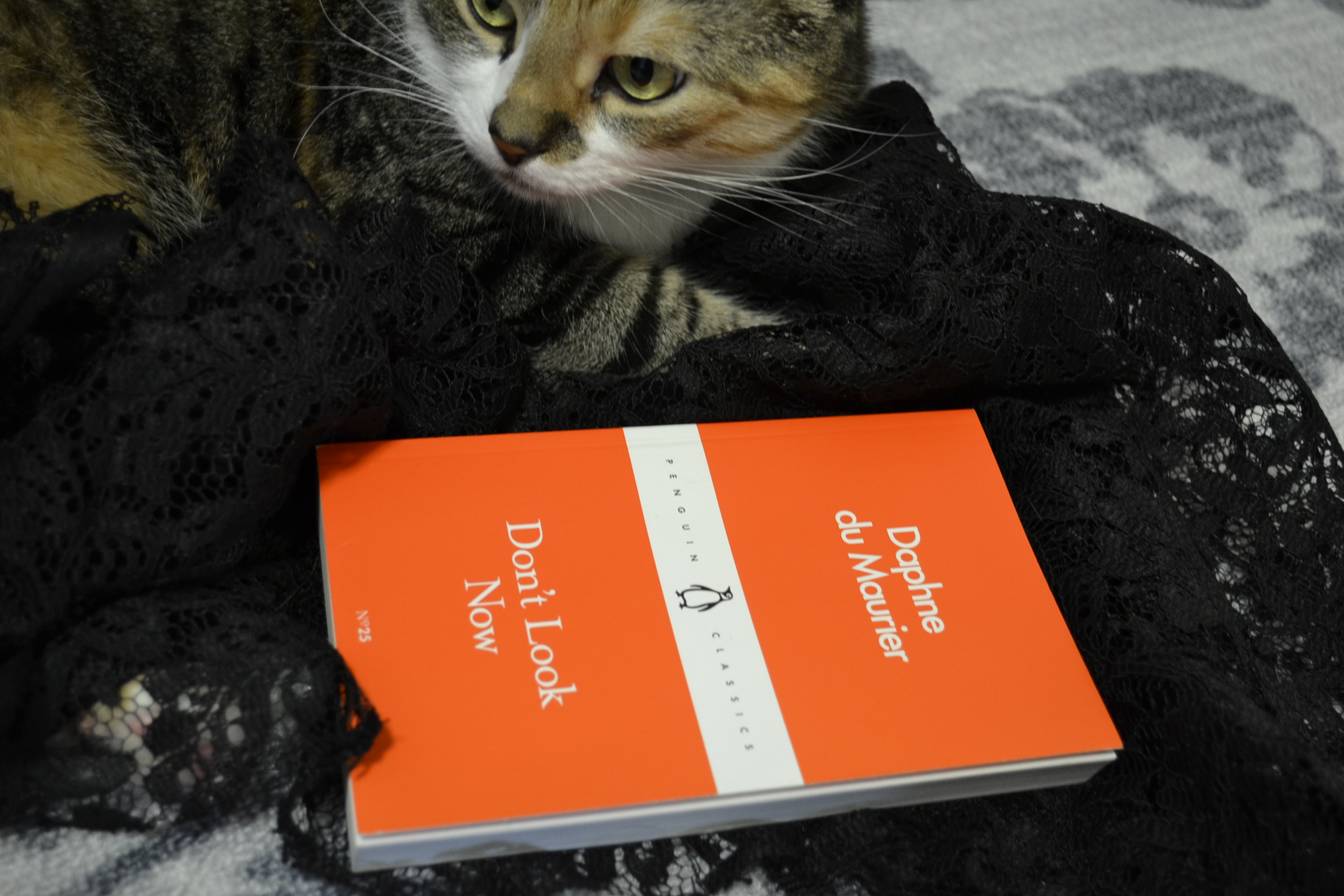 The orange cover of Don't Look Now and a calico tabby.