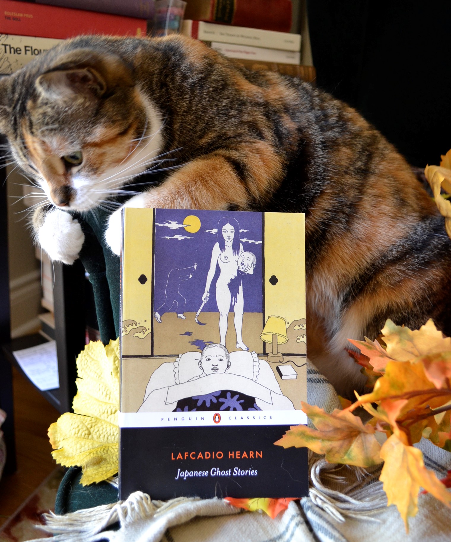 A calico cat sits in autumn leaves beside Japanese Ghost Stories.