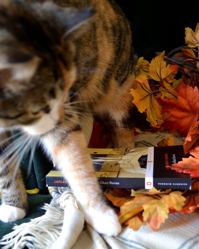 A calico tabb cat paws autumn leaves by Japanese Ghost Stories.