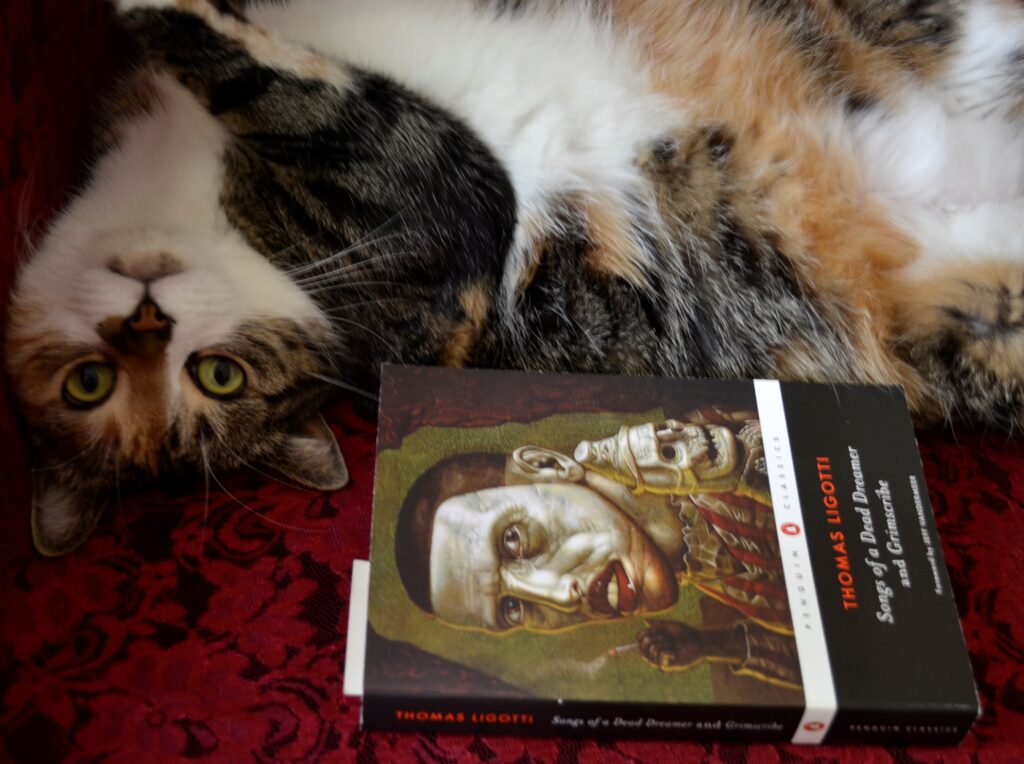 A calico tabby lies belly up on red lace with a book by Thomas Ligotti.