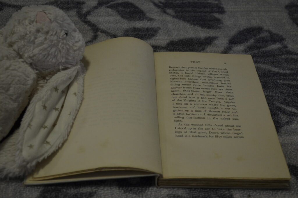 A white stuffed rabbit lies on the single-sided pages of They.