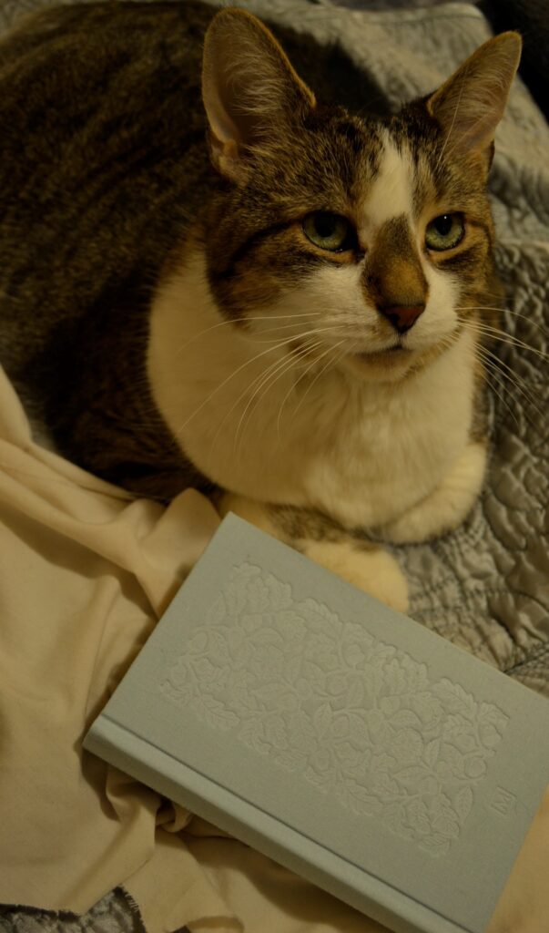 A fawn tabby with a brown nose sits beside an embossed blue book.