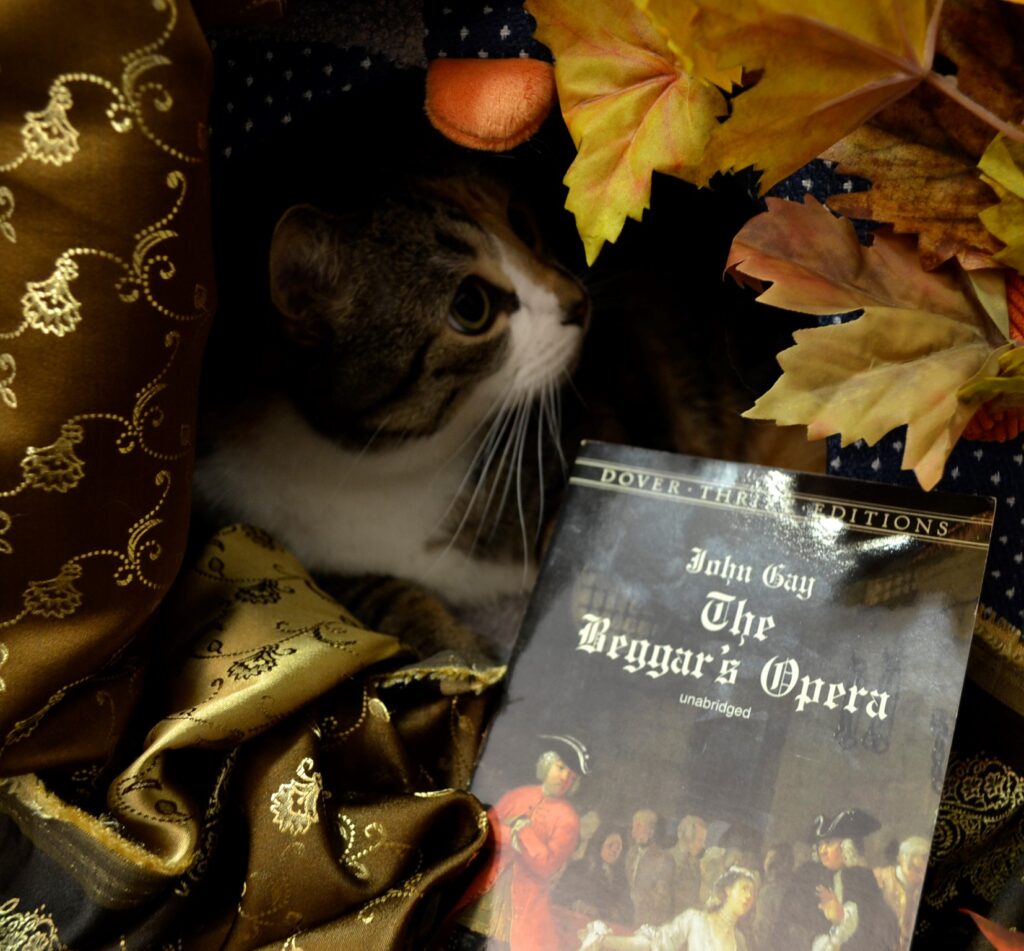 A calico tabby hides in a golden tent beside the Beggar's Opera.