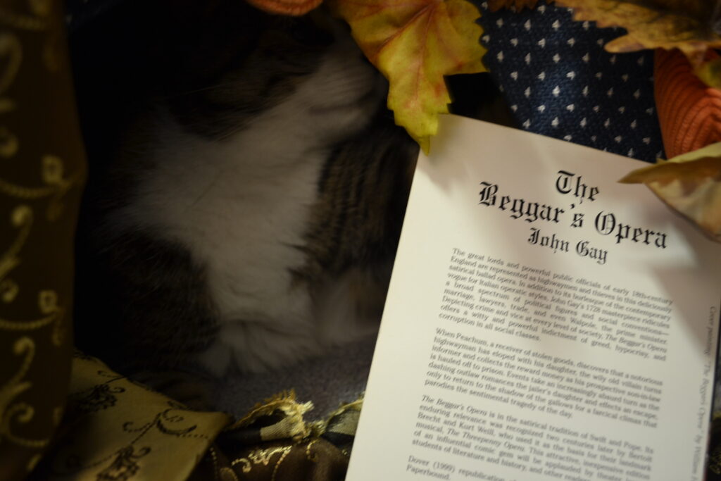 A calico tabby hides in a golden tent beside the Beggar's Opera.