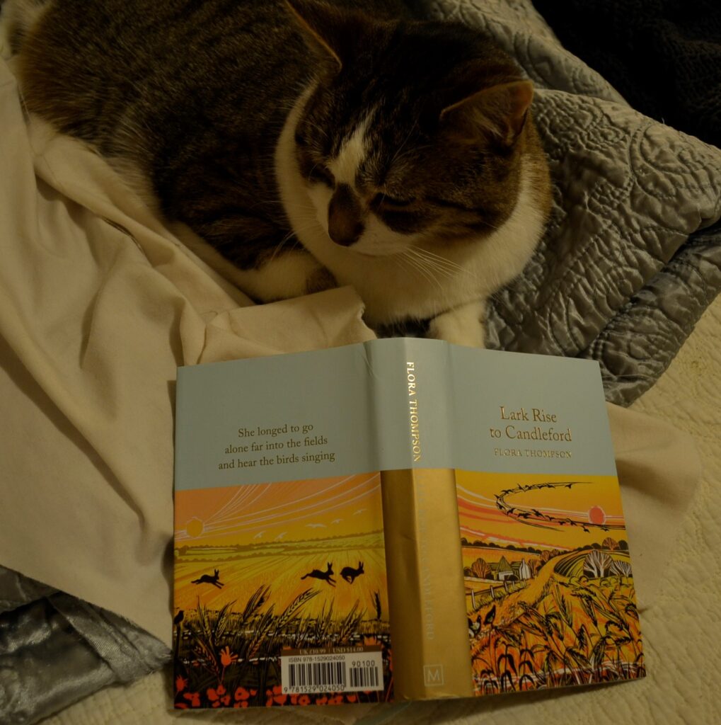 Bubastis sits beside the illustrated cover of Lark Rise to Candleford.