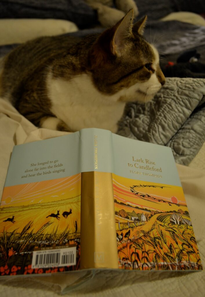 Bubastis sits beside the illustrated cover of Lark Rise to Candleford.