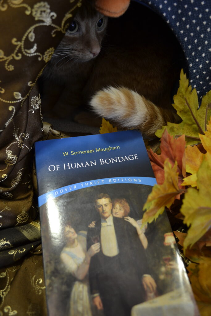 An orange tabby sits behind a copy of Of Human Bondage.
