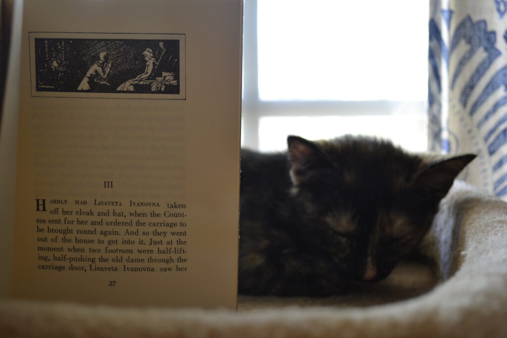 A tortoiseshell kitten napes beside an open copy of The Queen of Spades.