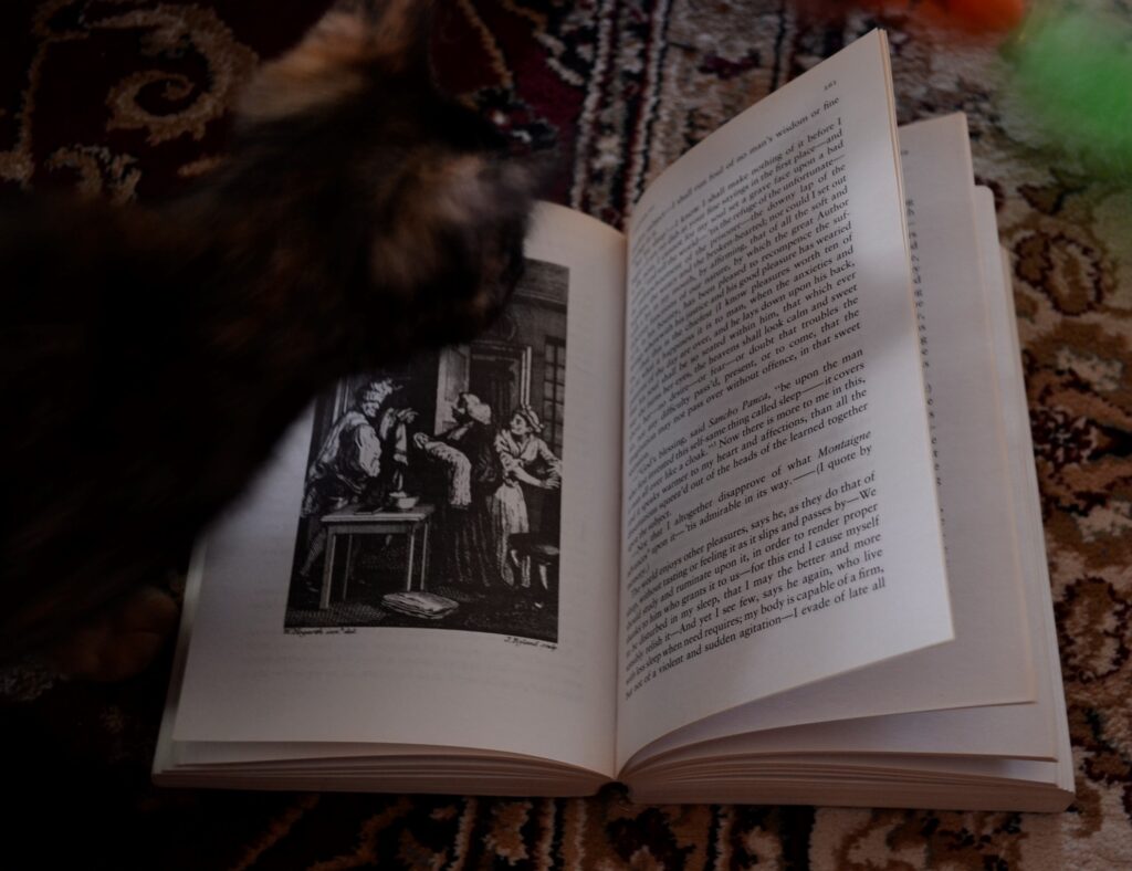 A tortoiseshell kitten hovers over an illustration in Tristram Shandy.