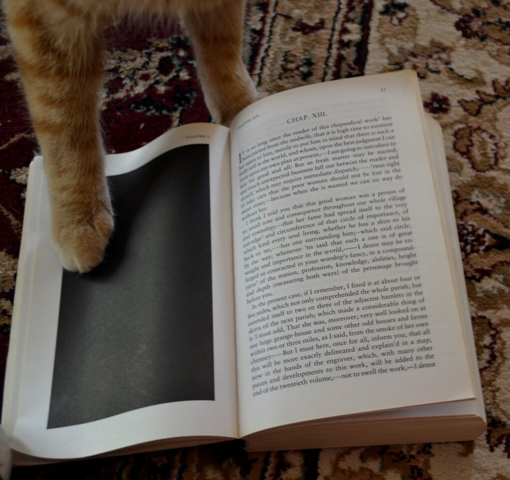 An orange tabby's paw rests on an all-black page.
