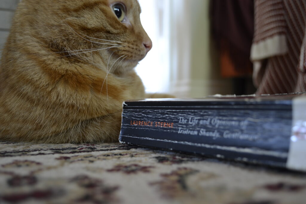 An orange tabby's nose sits above a beaten copy of Tristram Shandy.