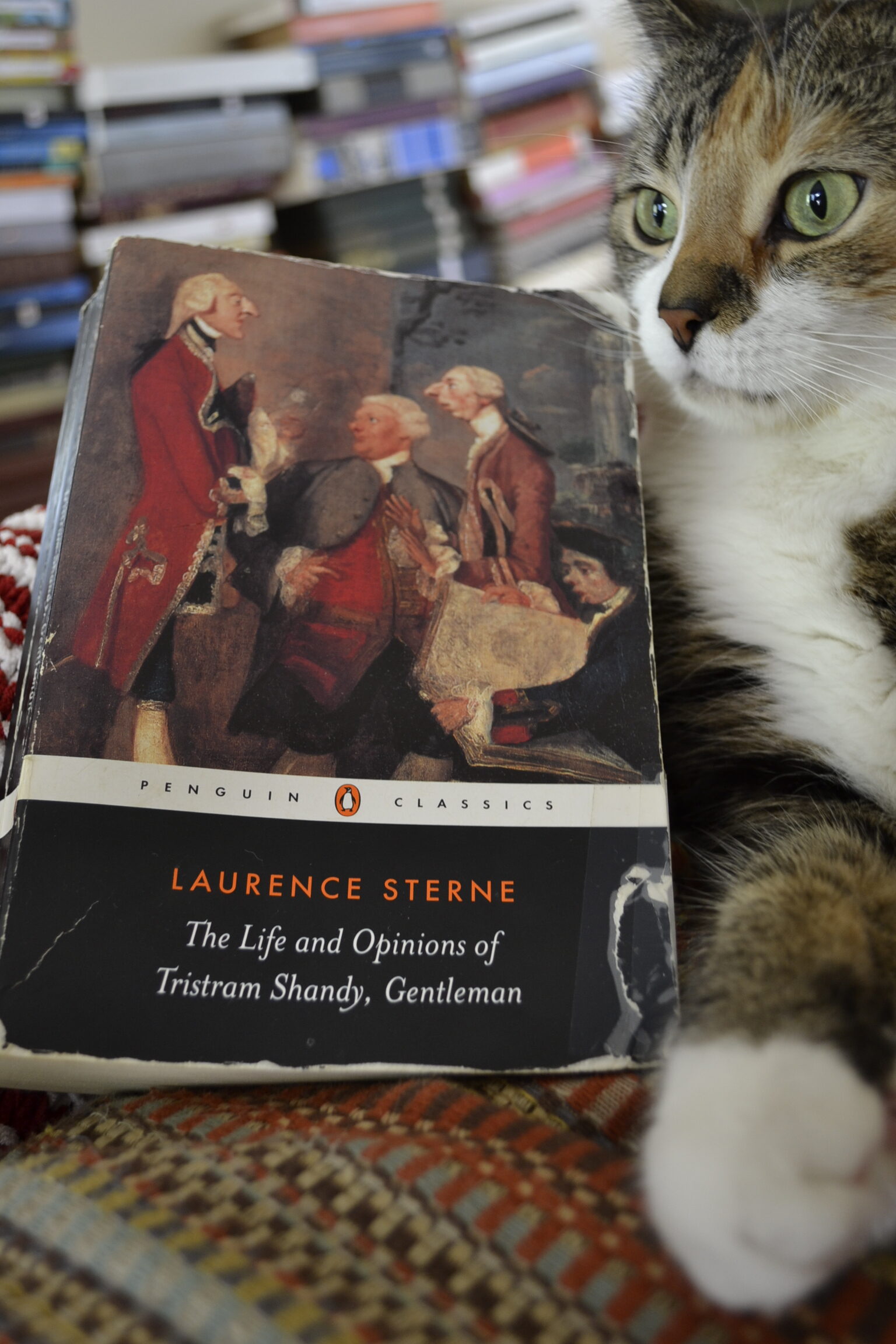 A calico tabby sits beside a copy of Tristram Shandy.