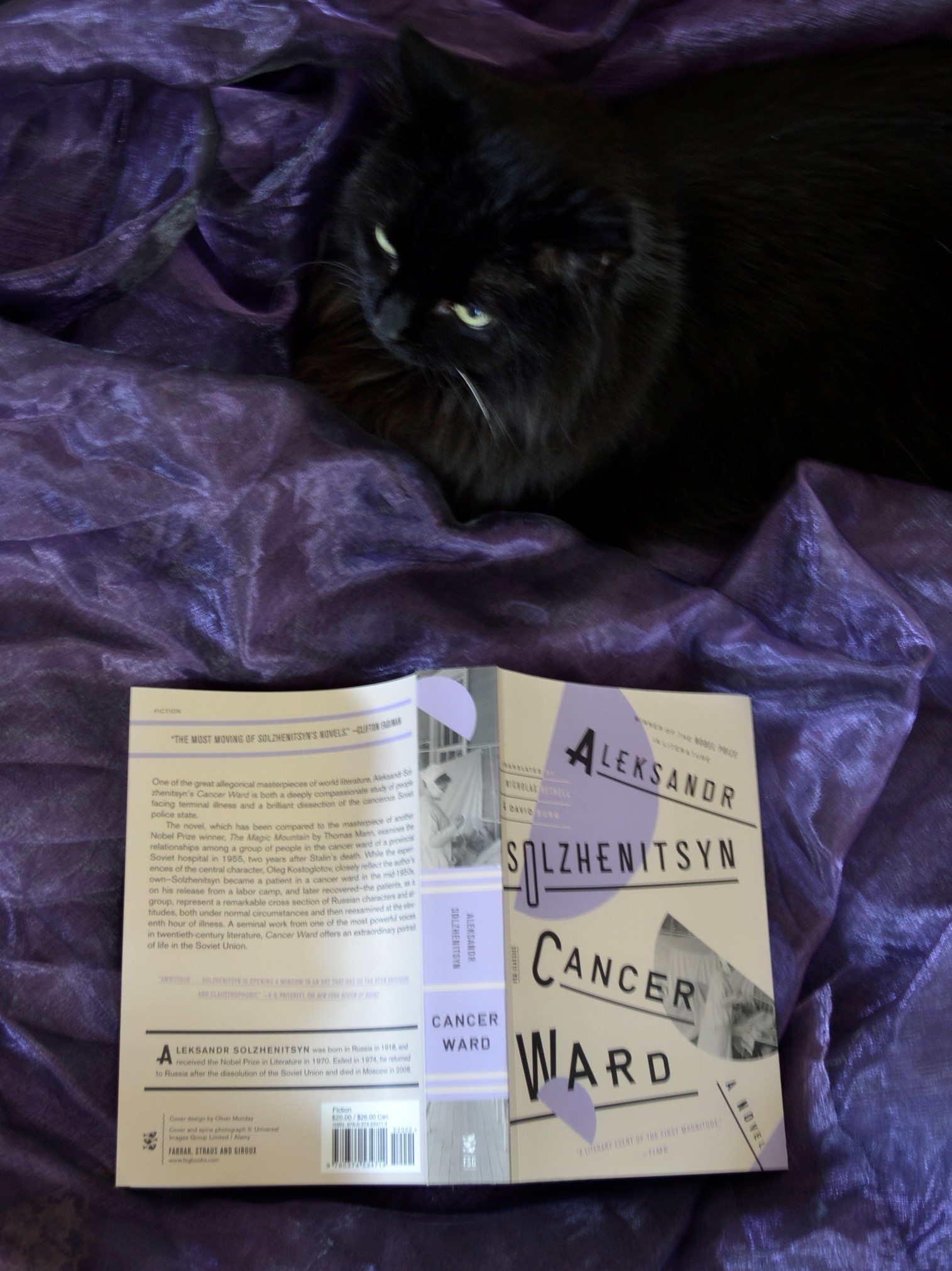 A black cat lies in purple organza beside Solzhenitsyn's Cancer Ward.