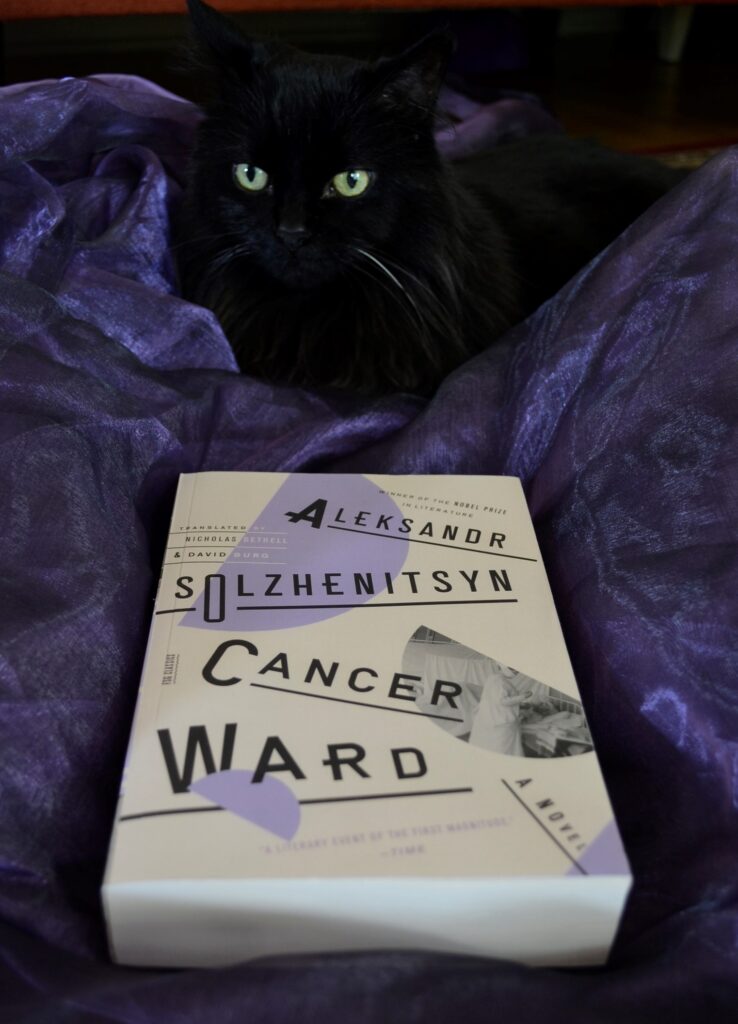 A black cat lies in purple organza beside Solzhenitsyn's Cancer Ward.