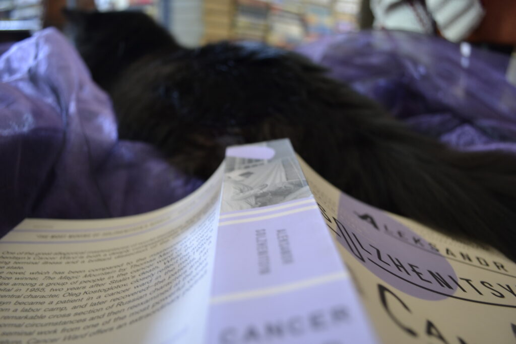 A black cat hides behind Cancer Ward.