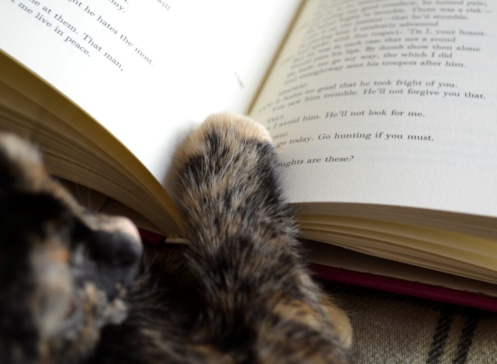 A tortoiseshell kitten paw holds open Wilhelm Tell.