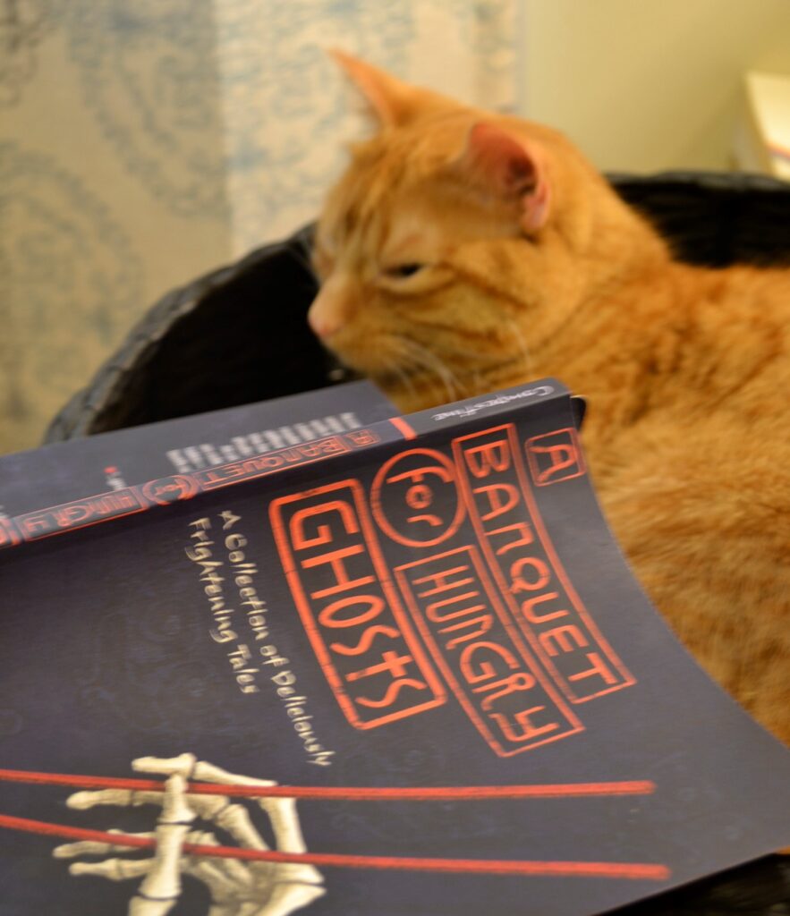 An orange tabby looking over the cover of A Banquet for Hungry Ghosts