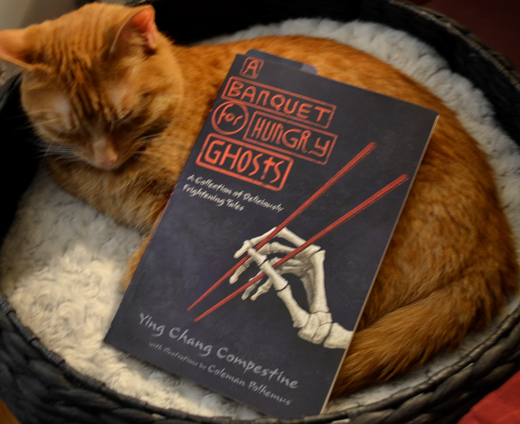 An orange tabby sleeping beside A Banquet for Hungry Ghosts
