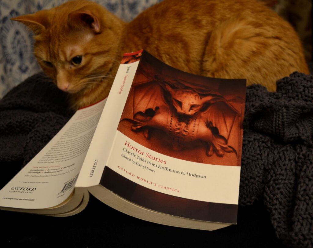 An orange tabby sits beside a compilation of classic horror stories.