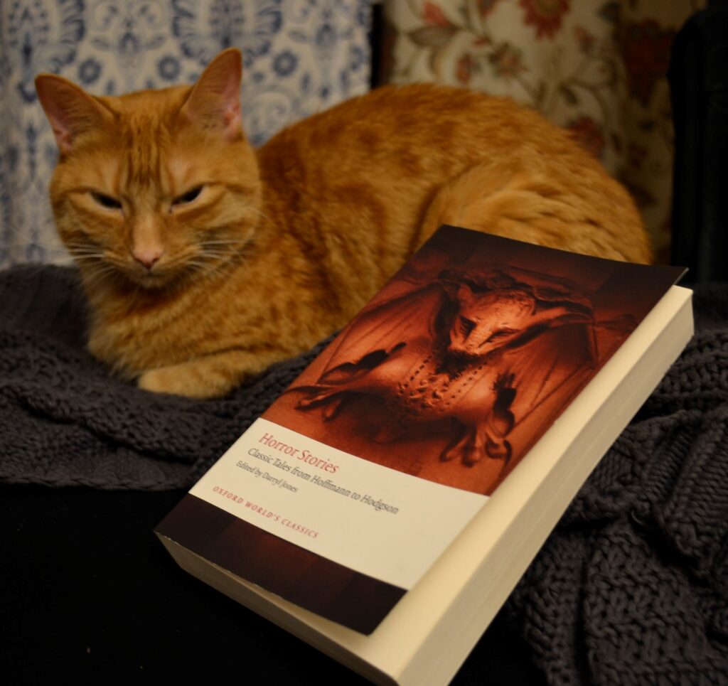 An orange tabby sits beside a compilation of classic horror stories.