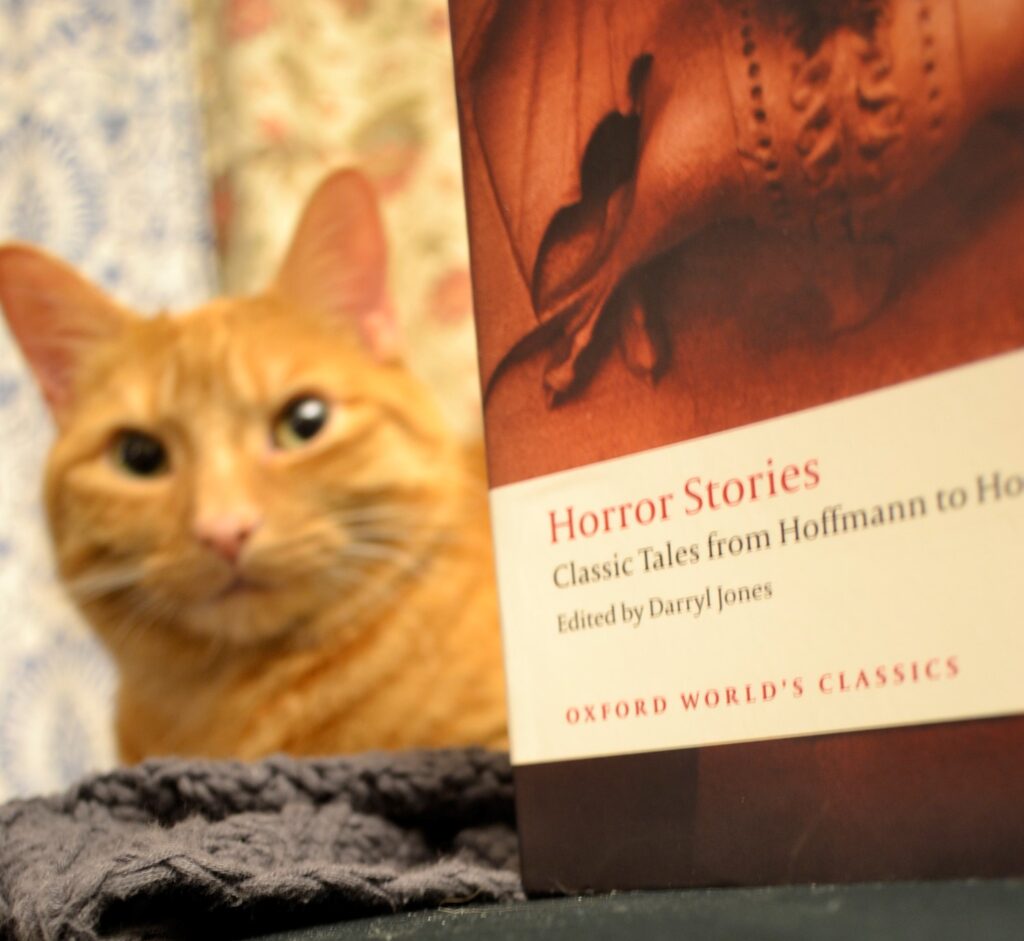 An orange tabby sits beside a compilation of classic horror stories.