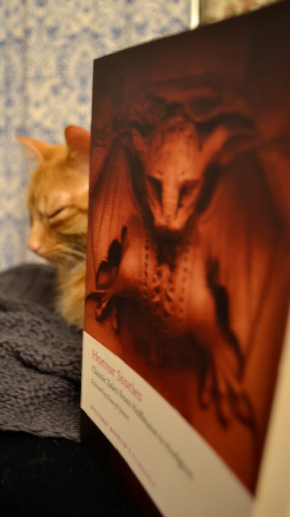 An orange tabby sits beside a compilation of classic horror stories.