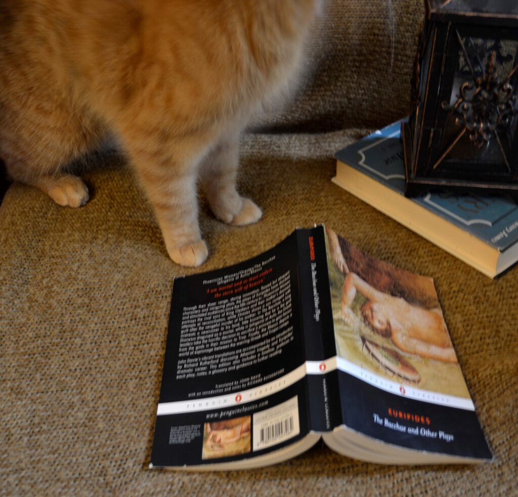 An orange tabby sits beside the Bacchae.