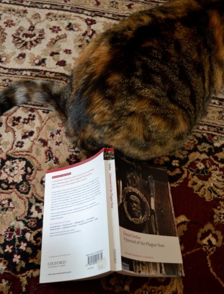 A Journal of a Plague Year and a calico tabby cat.