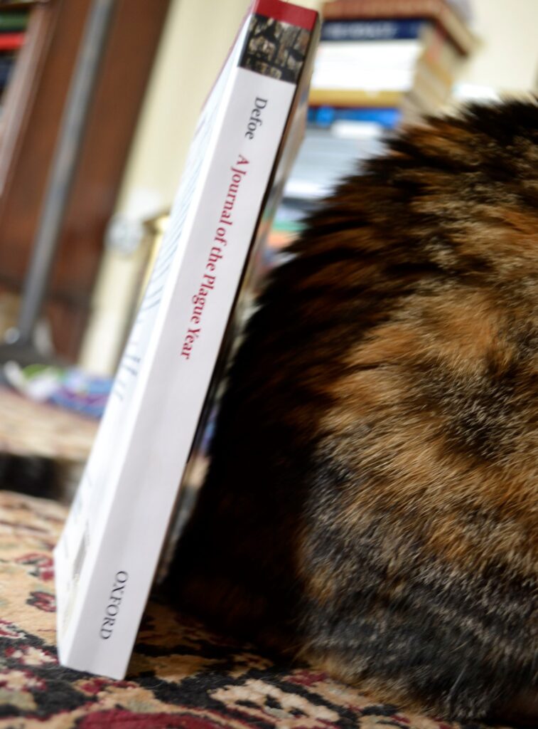 The spine of A Journal of a Plague Year and a calico tabby cat.