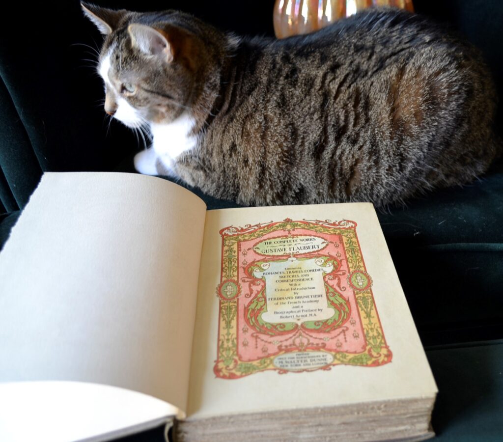 A fawn tabby sits beside the coloured frontispiece of Madame Bovary.
