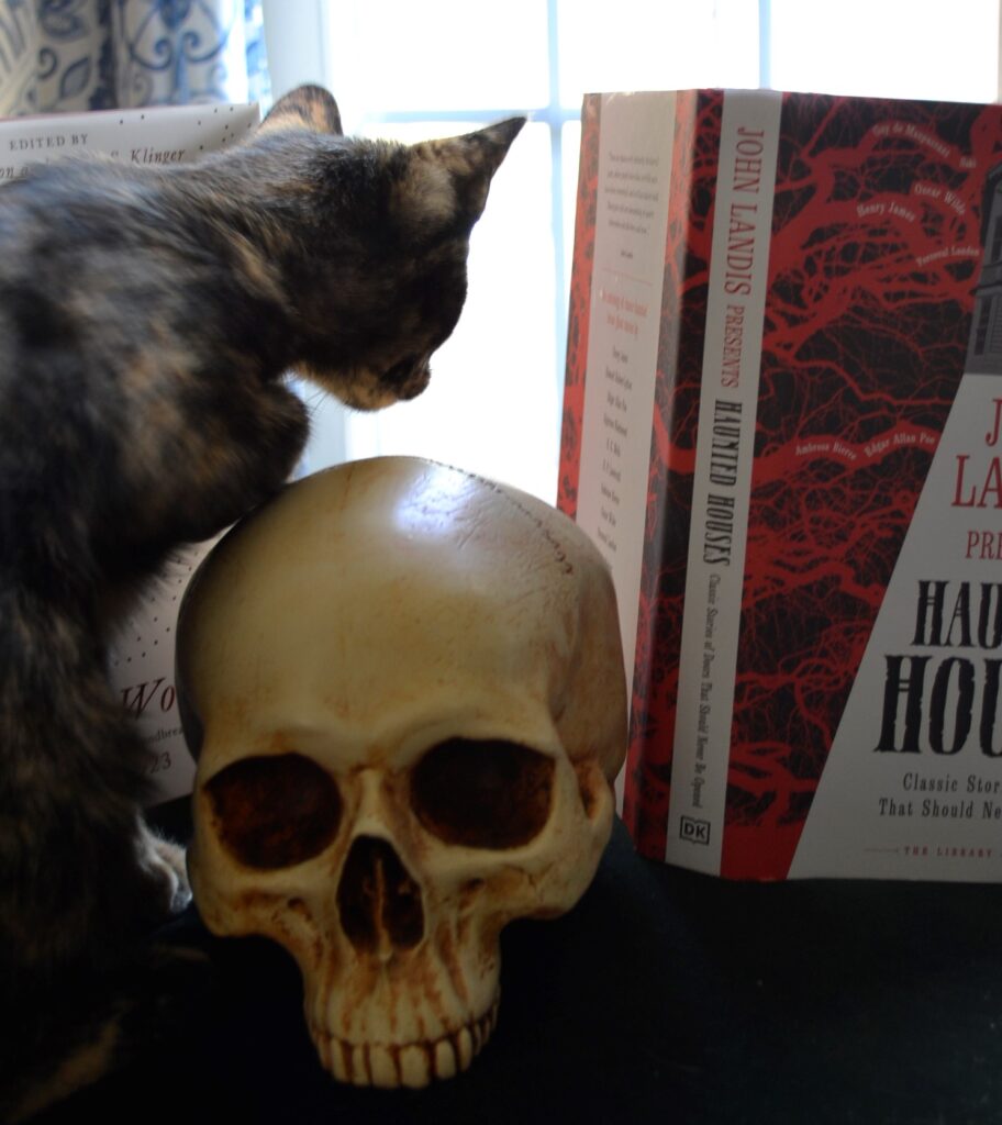 A tortoiseshell kitten sits with a skull and Haunted Houses.