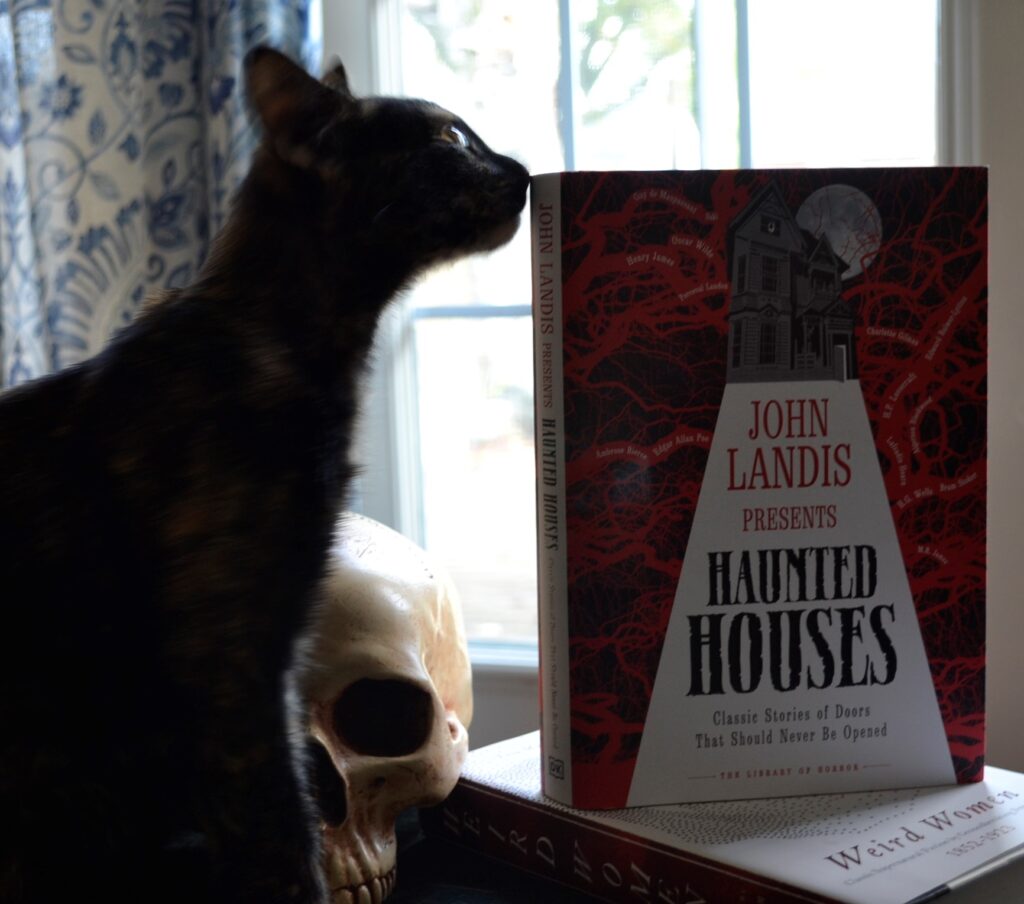 A tortoiseshell kitten sits with a skull and Weird Women and Haunted Houses.