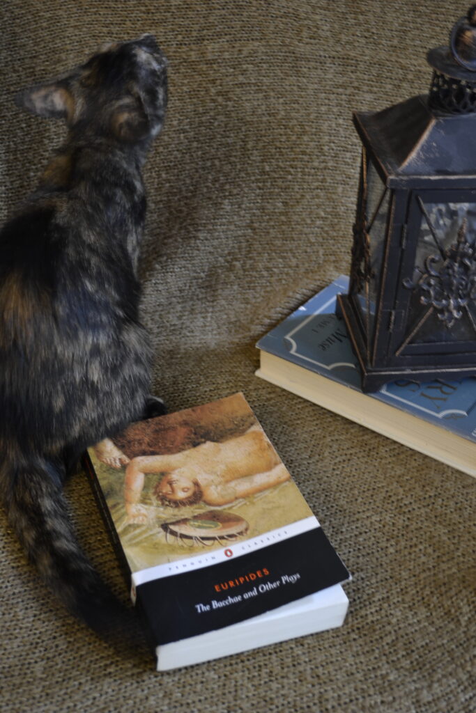 A tortoiseshell kitten sits beside the Bacchae.