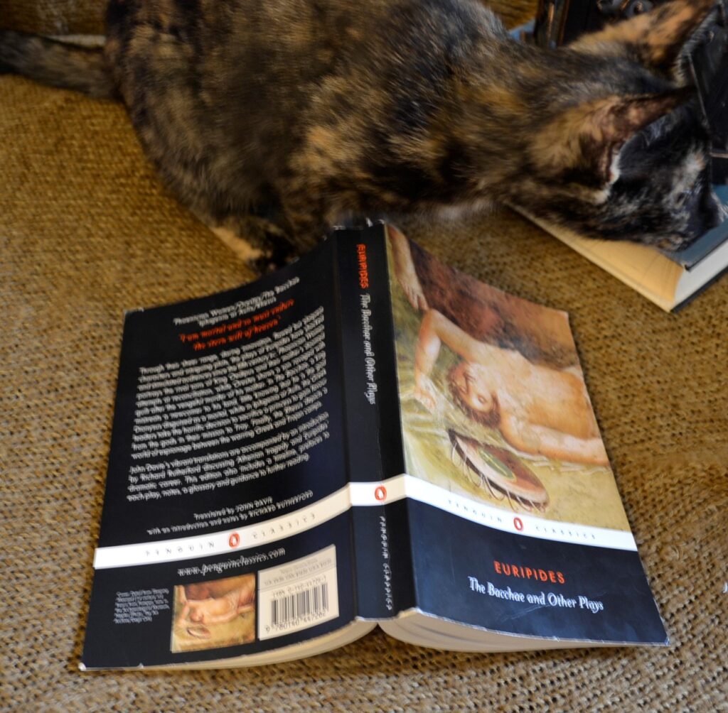 A tortoiseshell kitten sits beside the Bacchae.