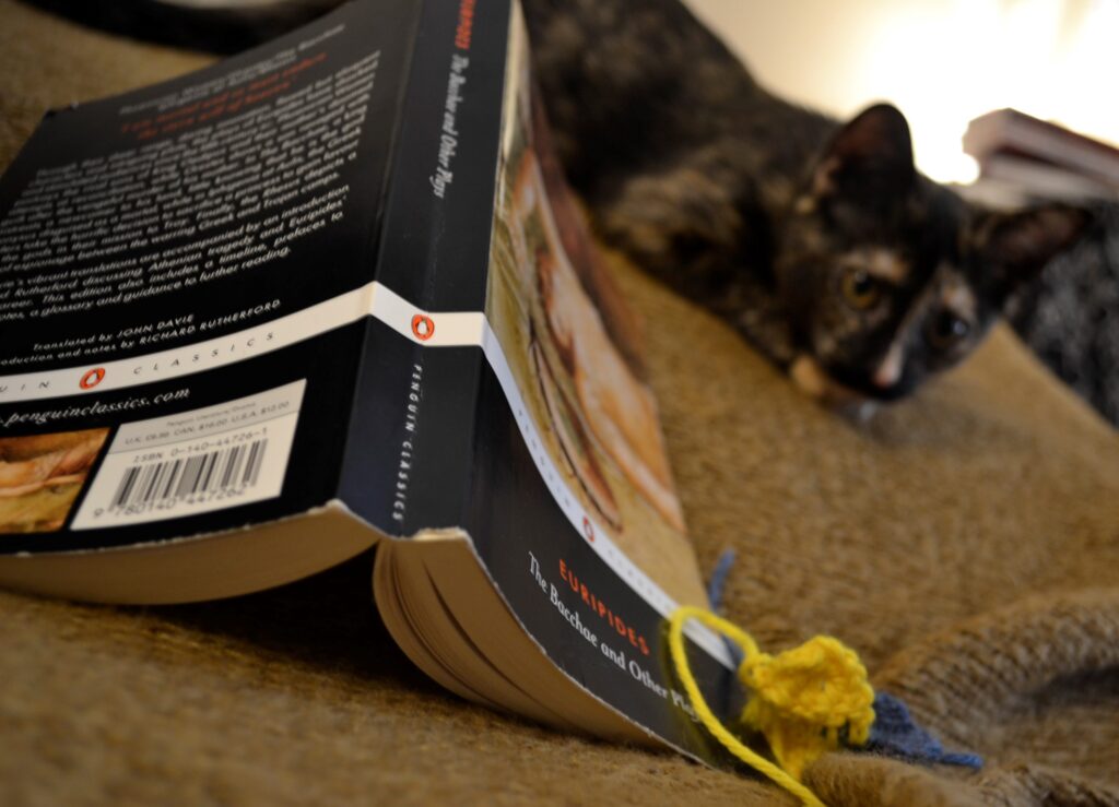 A tortoiseshell kitten crouches behind the Bacchae.