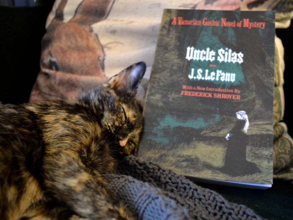 A sleeping tortoiseshell kitten with a copy of Uncle Silas.