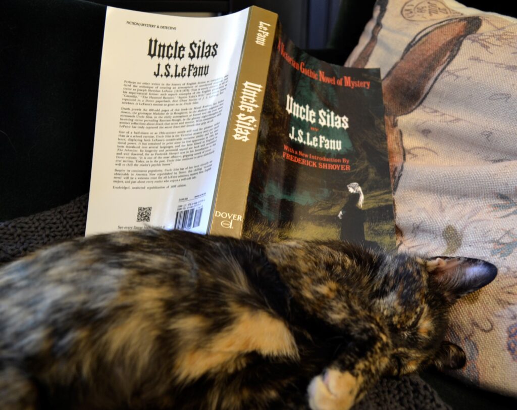 A sleeping tortoiseshell kitten with a copy of Uncle Silas.