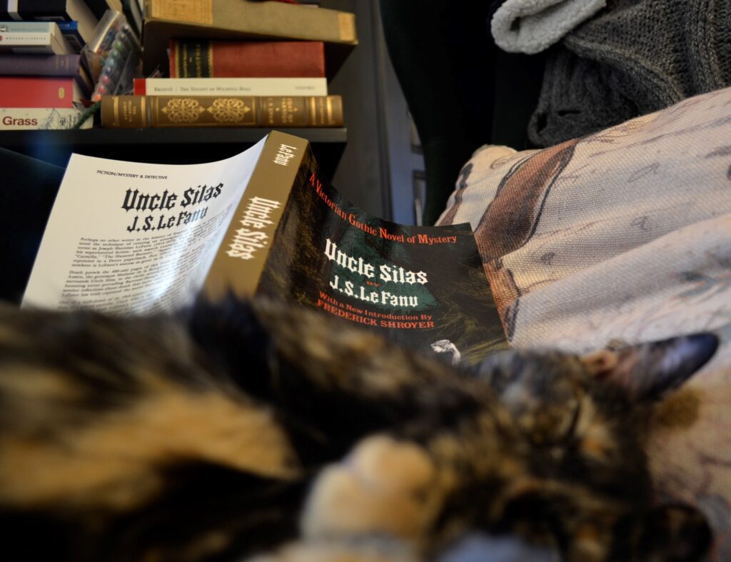 A sleeping tortoiseshell kitten with a copy of Uncle Silas.