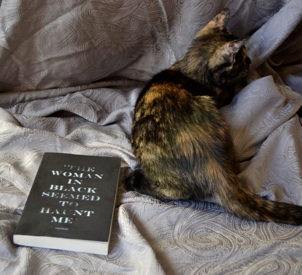 A tortoiseshell kitten lies beside The Woman in Black.