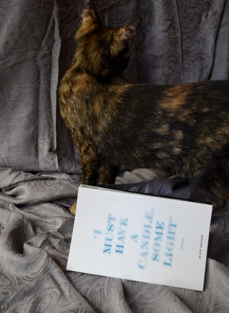 A tortoiseshell kitten stands beside The Woman in Black.