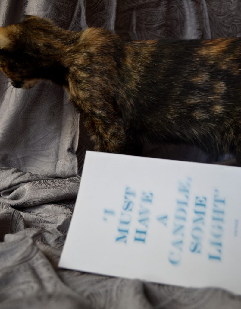 A tortoiseshell kitten peeks around The Woman in Black.